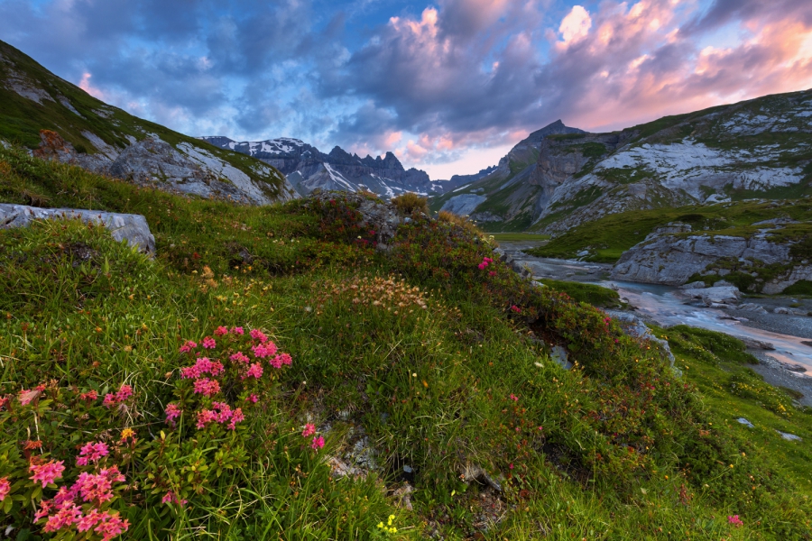 Alba sull' altipiano del Segnes, Svizzera