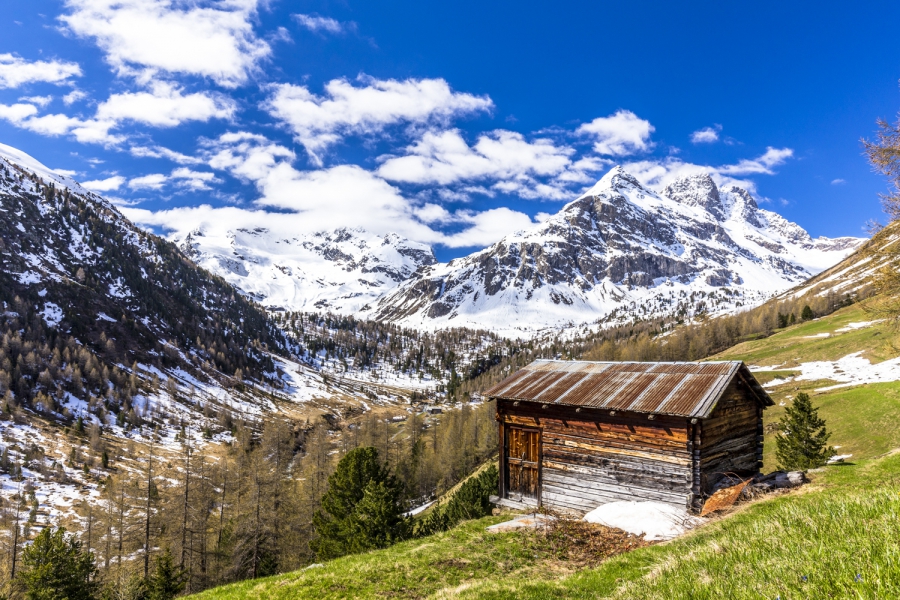 Baita tradizionale in Val Viola, Valtellina
