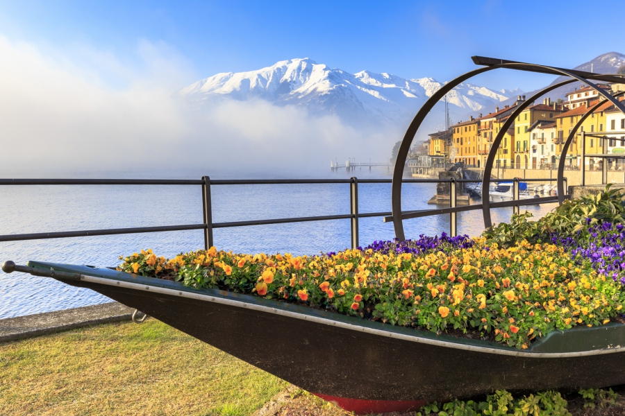 Barca con fiori una nebbiosa mattina a Domaso, Lago di Como