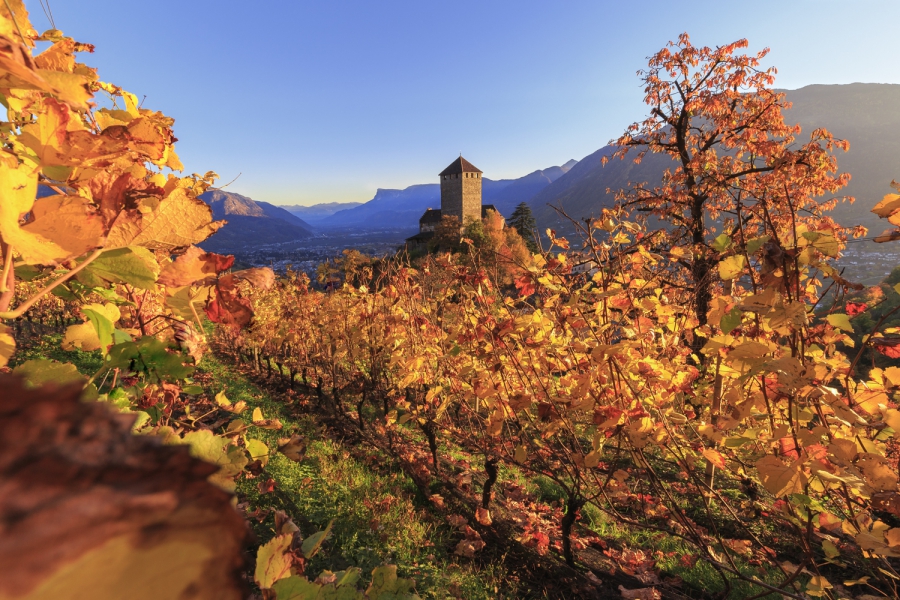Castel Tirolo in autunno, Merano, Alto Adige